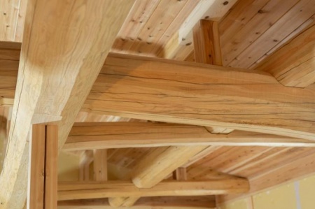 Le pin scandinave utilis&eacute; pour nos maisons en bois assure une r&eacute;elle long&eacute;vit&eacute; &agrave; Pontarlier
